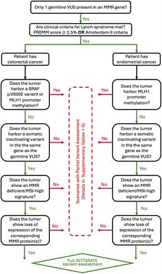 Development and evaluation of INT2GRATE: a platform for comprehensive assessment of the role of germline variants informed by tumor signature profile in Lynch syndrome